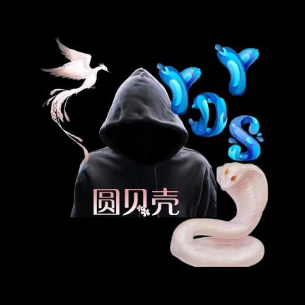 圆贝壳YYDS