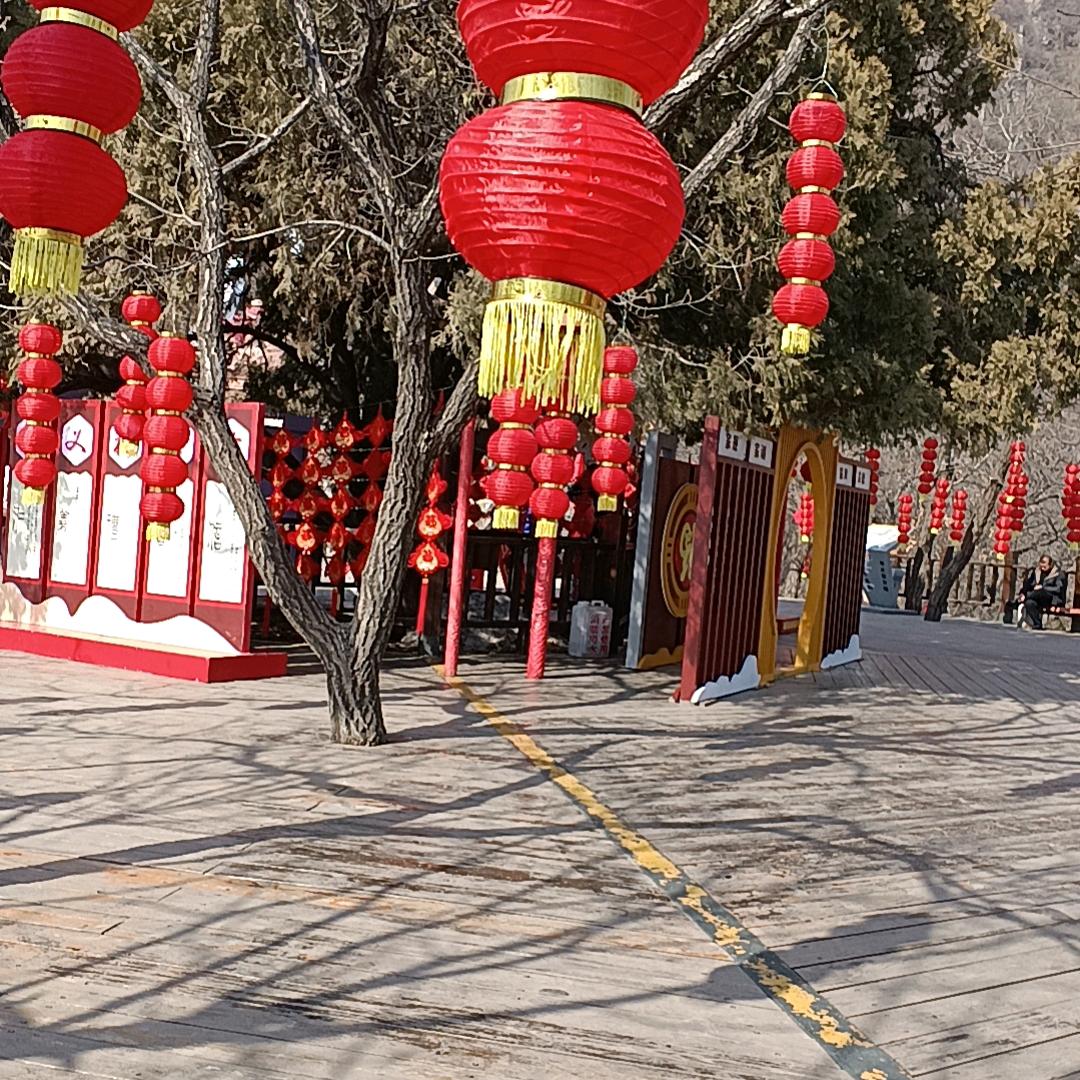 芝姐