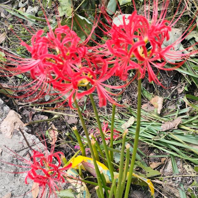 💔💔到此 🌺🌺结束💝💝💝