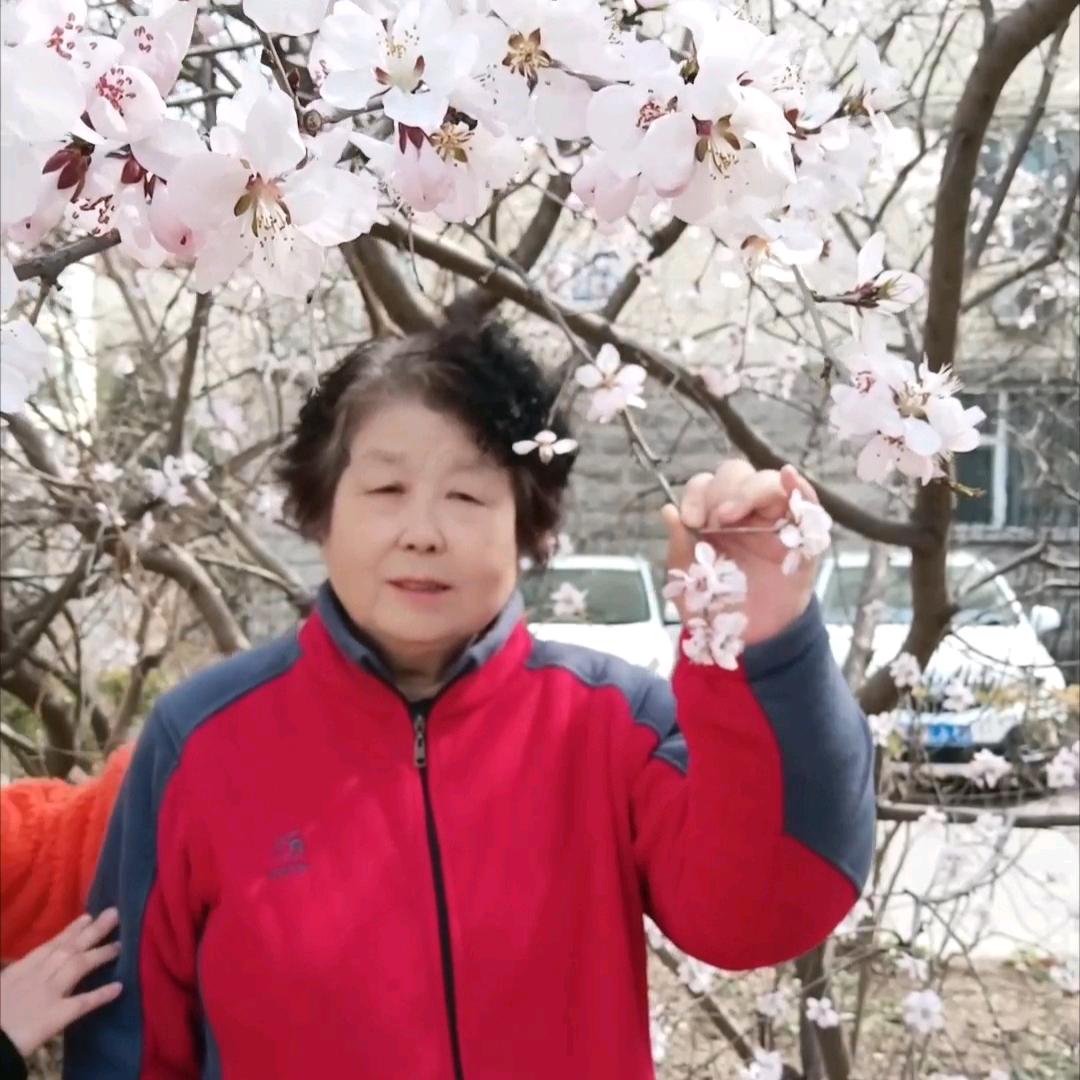 韩淑兰