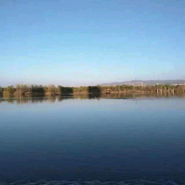 丹凤县南沟红薯粉条