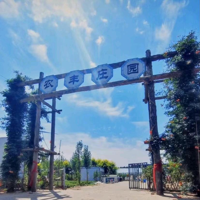 内黄冬枣采摘园（农丰庄园）