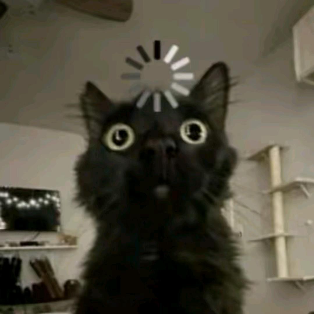 撒揪·C