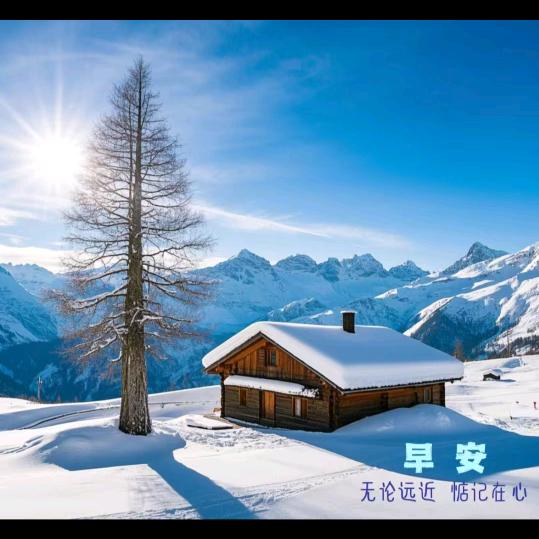 竞自由