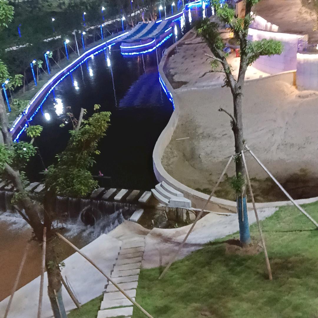 笨鸟