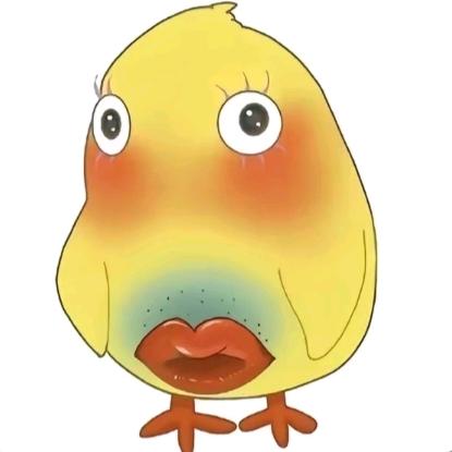 黄豆酱拌54号水泥