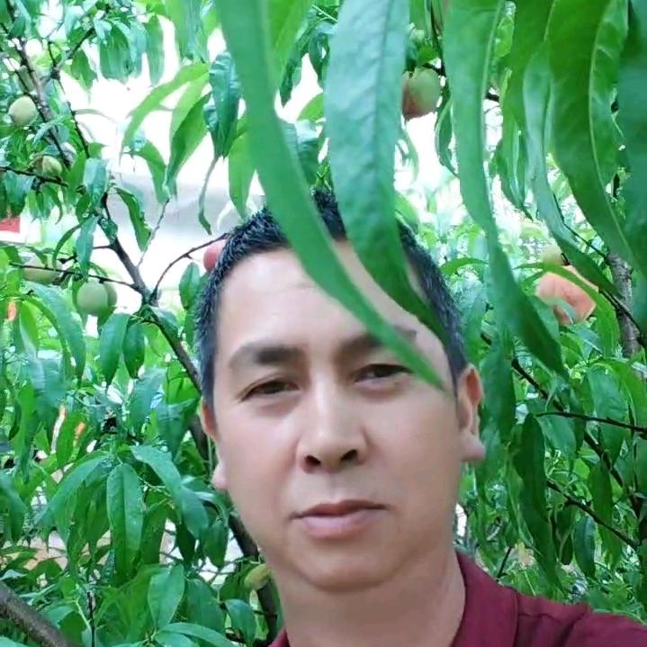 归来的打工人