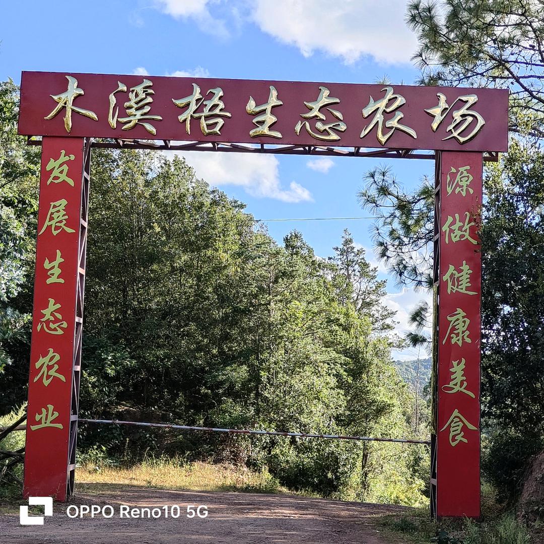 木溪悟生态农场