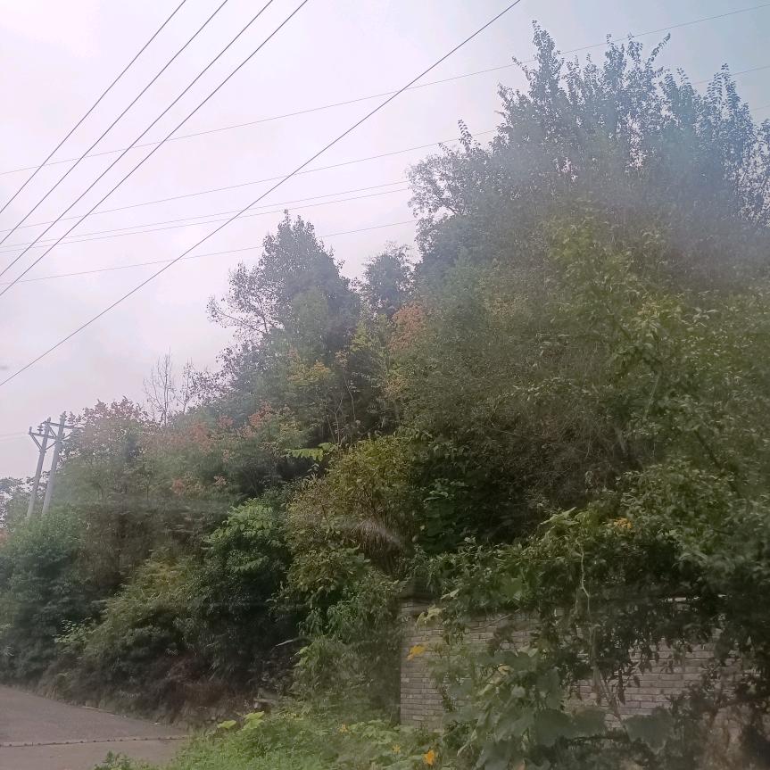 幸福加点糖