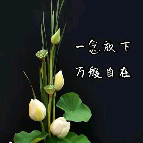 天凭日月人凭心