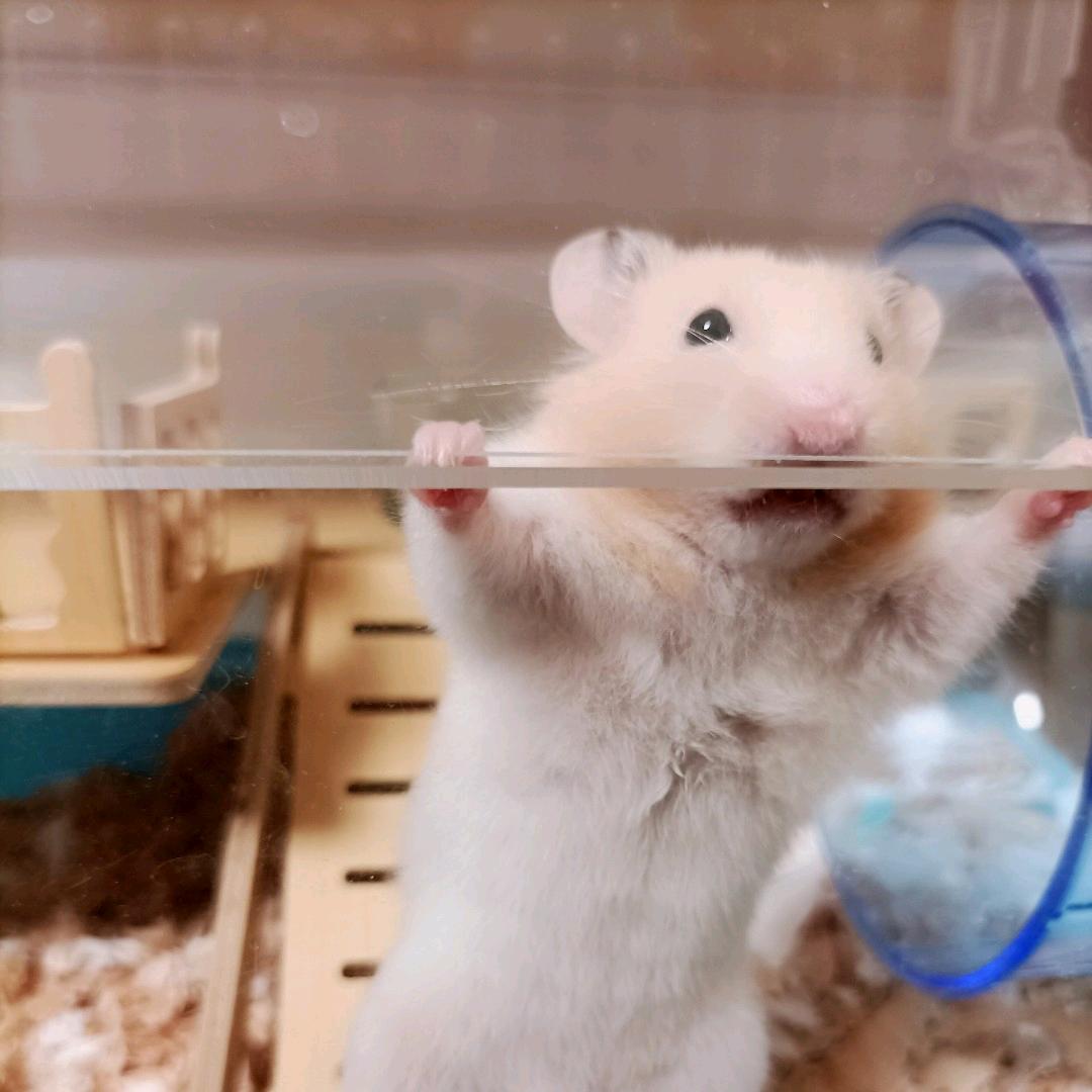 我睡觉的时候不困