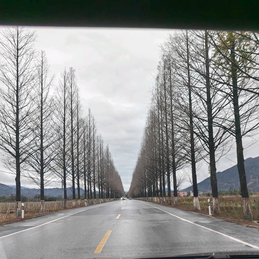 酱香传递师（陈博文）