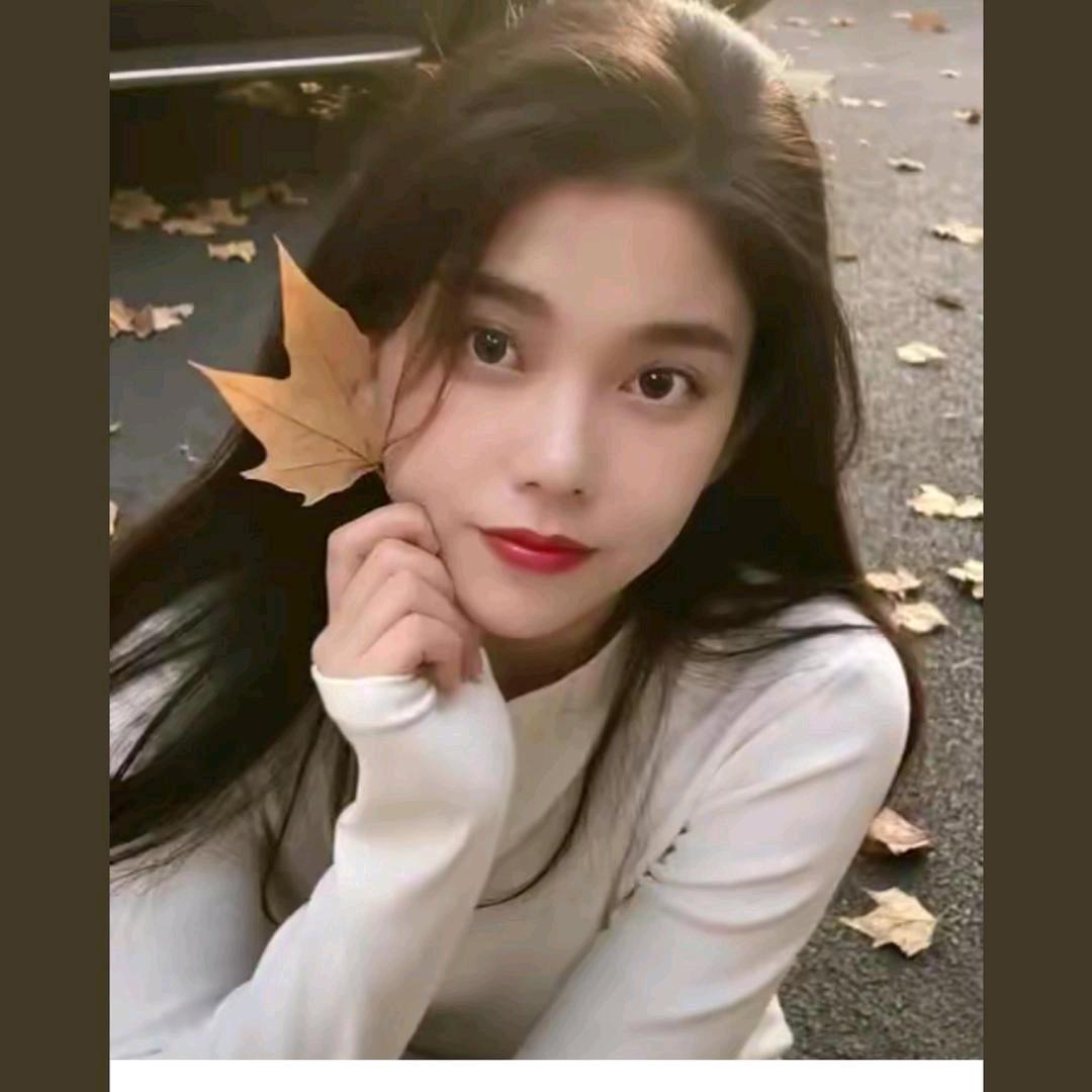 再见只是陌生人；