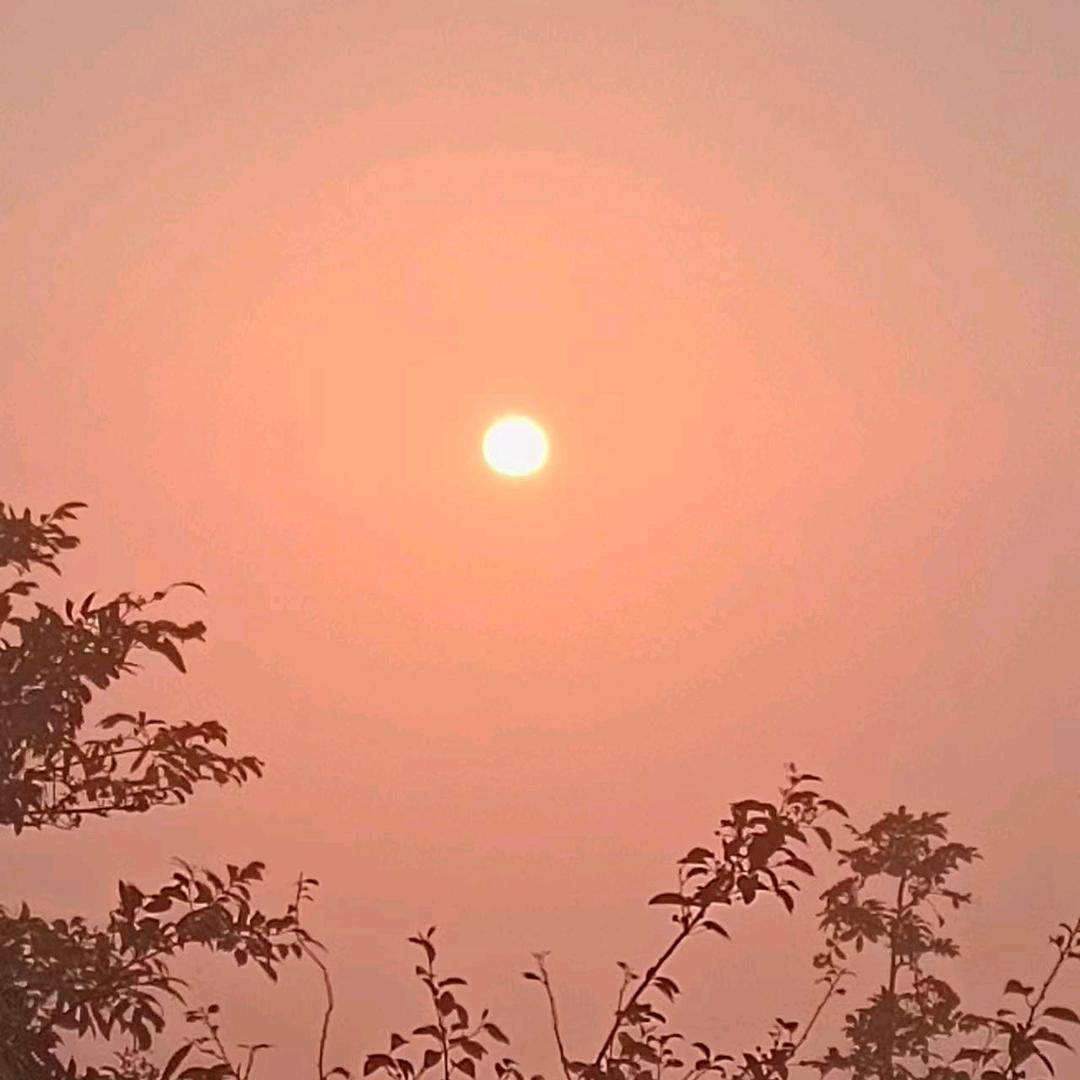 🚴🏻 东东