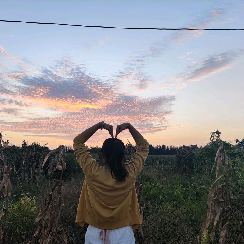 胶州电缆~~~小鸽