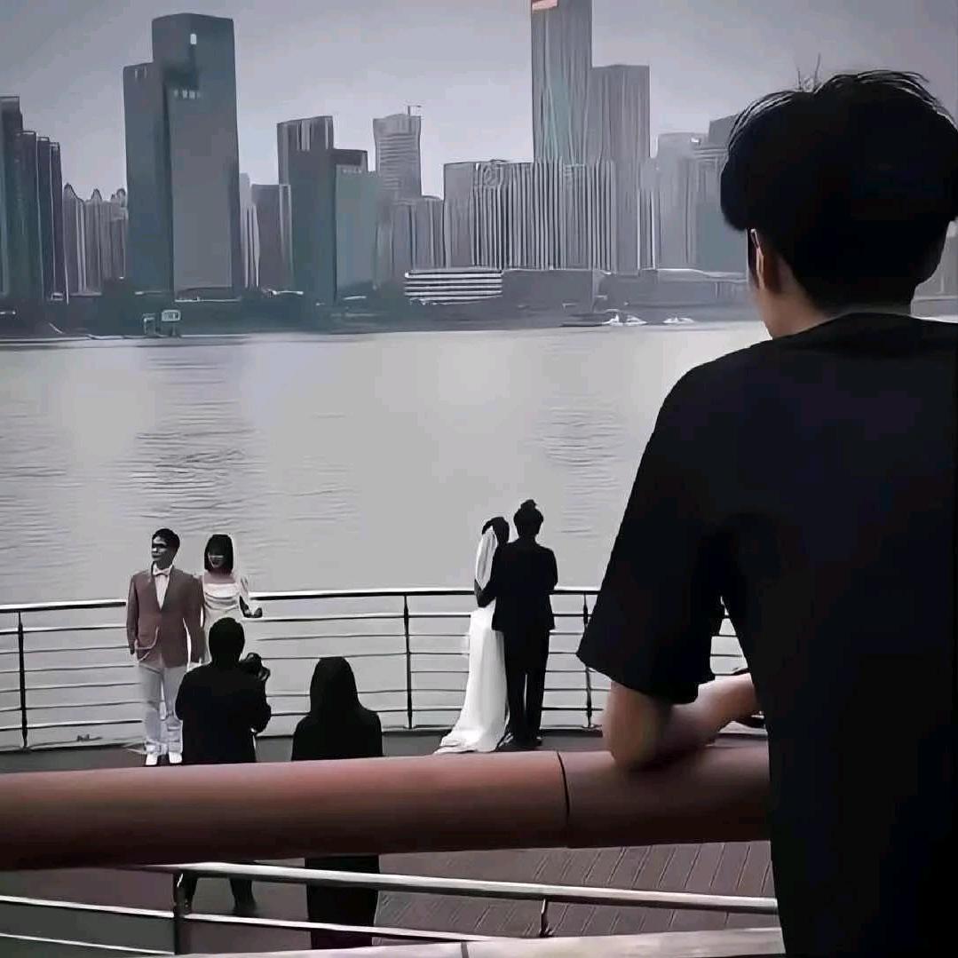 浩斯浪浪山（野猫版）