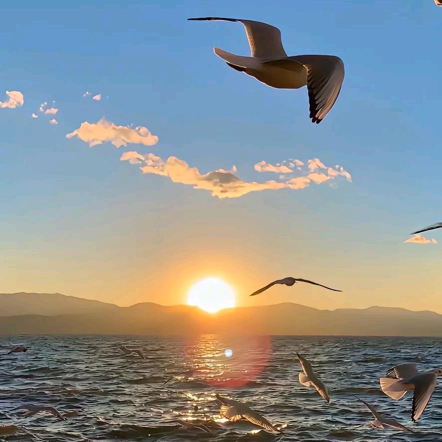 🌈🌈🌈🌈🌈🌈🌈🌈🌈🌈