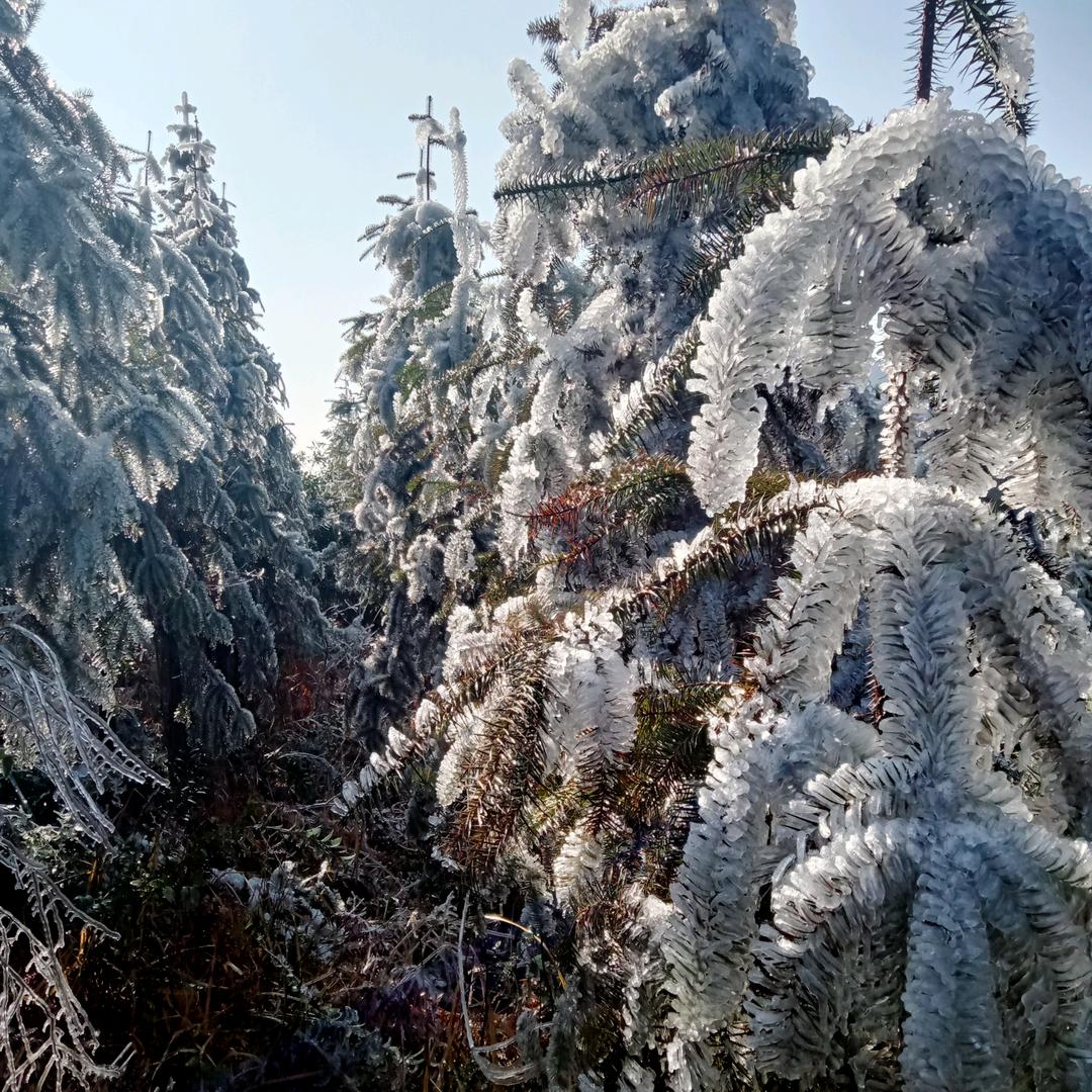 别让欲望迷失了方向