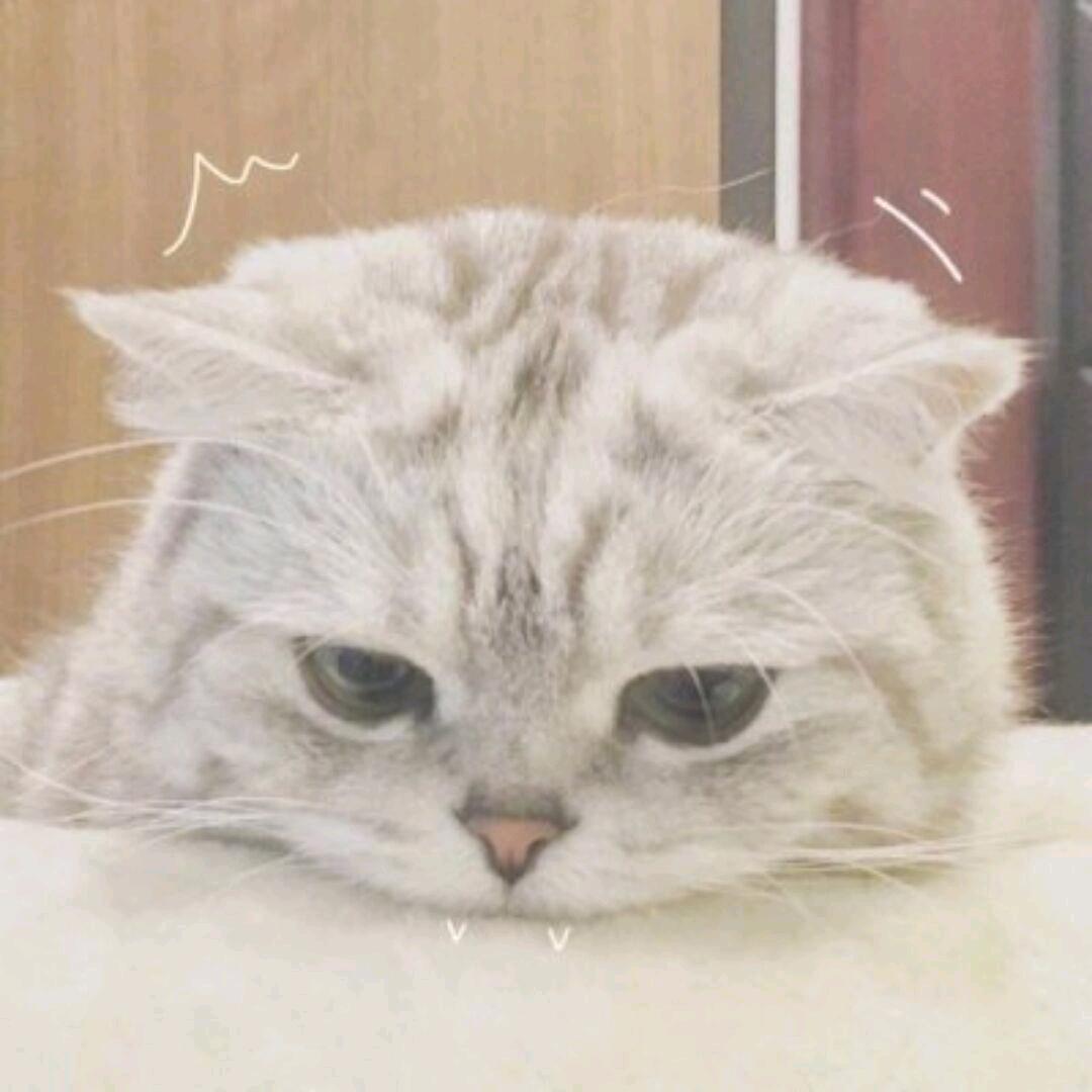 沅
