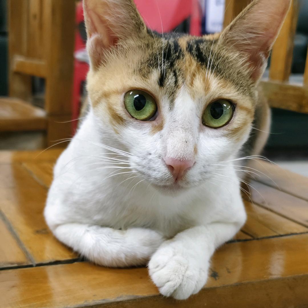 AAA南宁钢铁厂卢老板