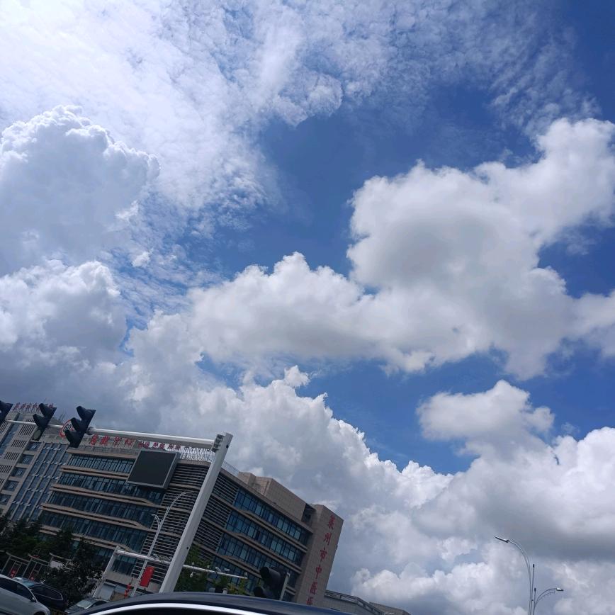 小鱼阿呆