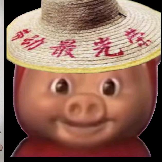 老实的农村入004