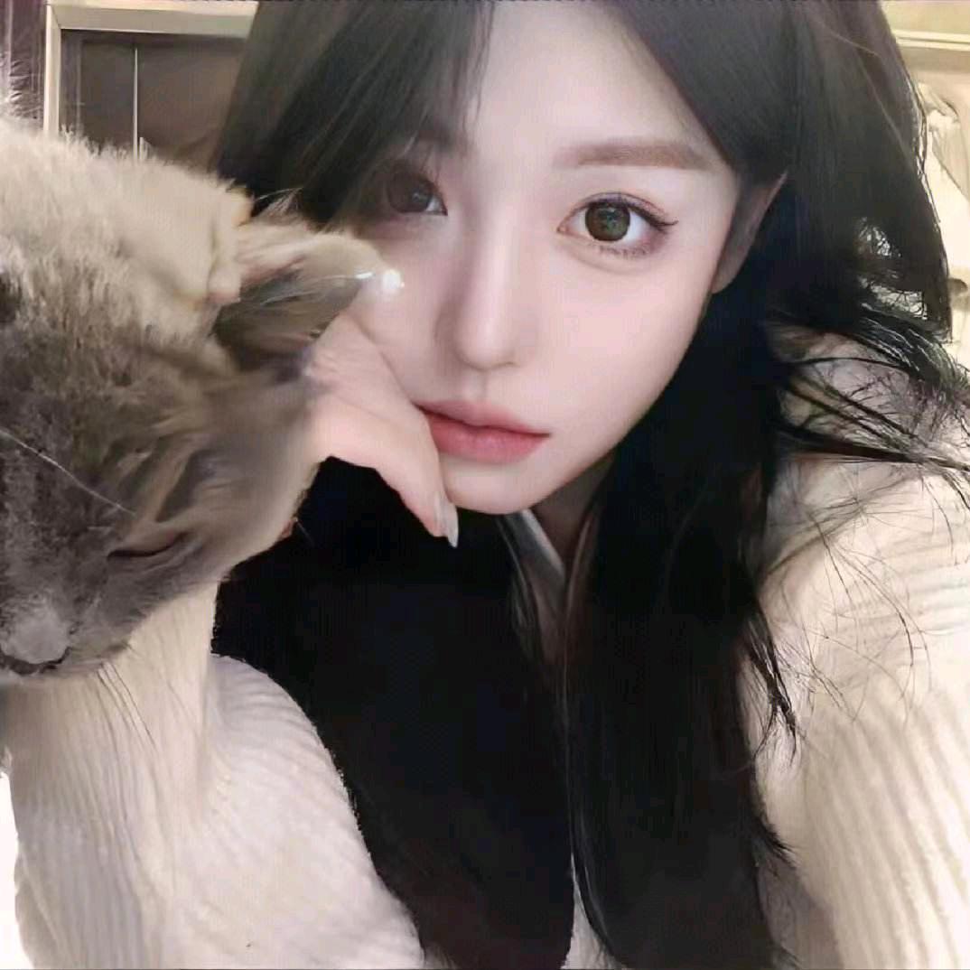 妞妞爱追剧