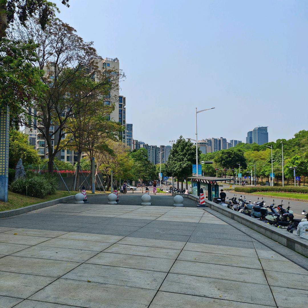 小杨