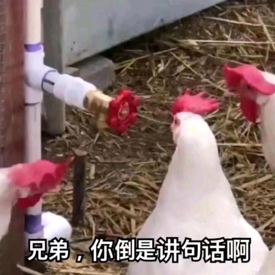 白板泡泡