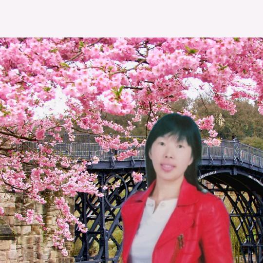 玲姐
