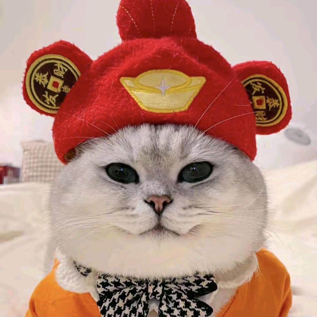 胖芬是猫不是猪