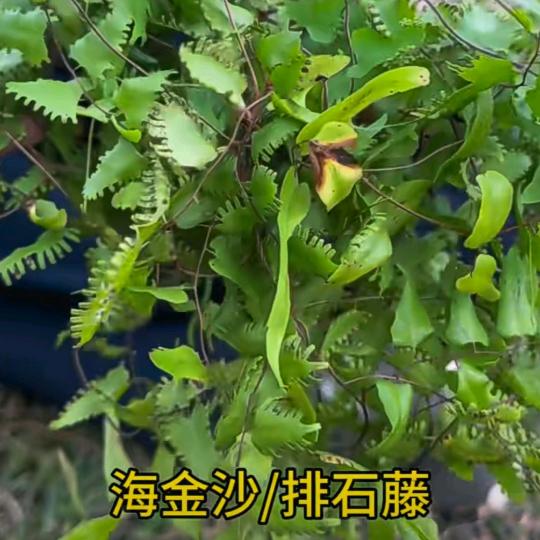 为你动过心