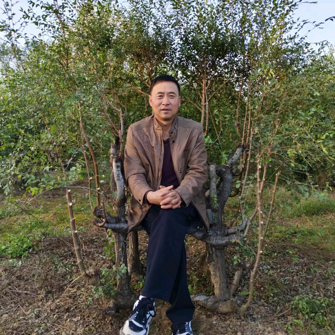 种家具哥
