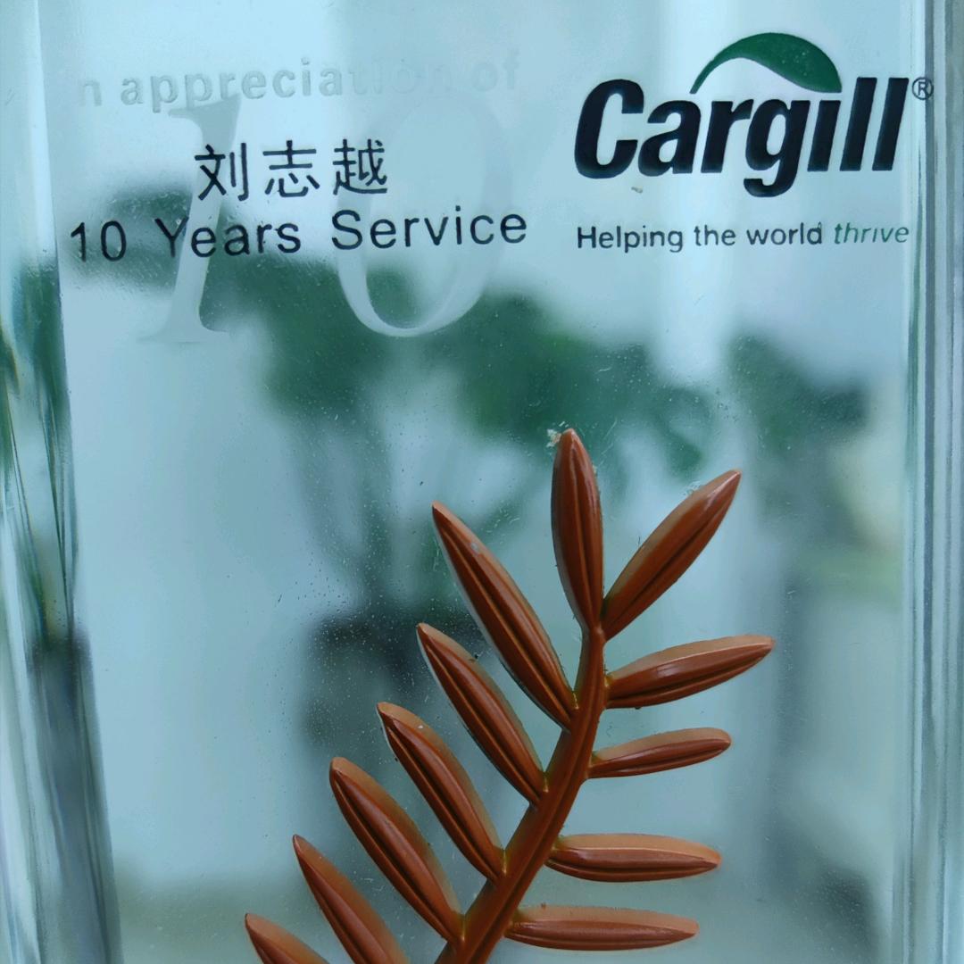 刘志越