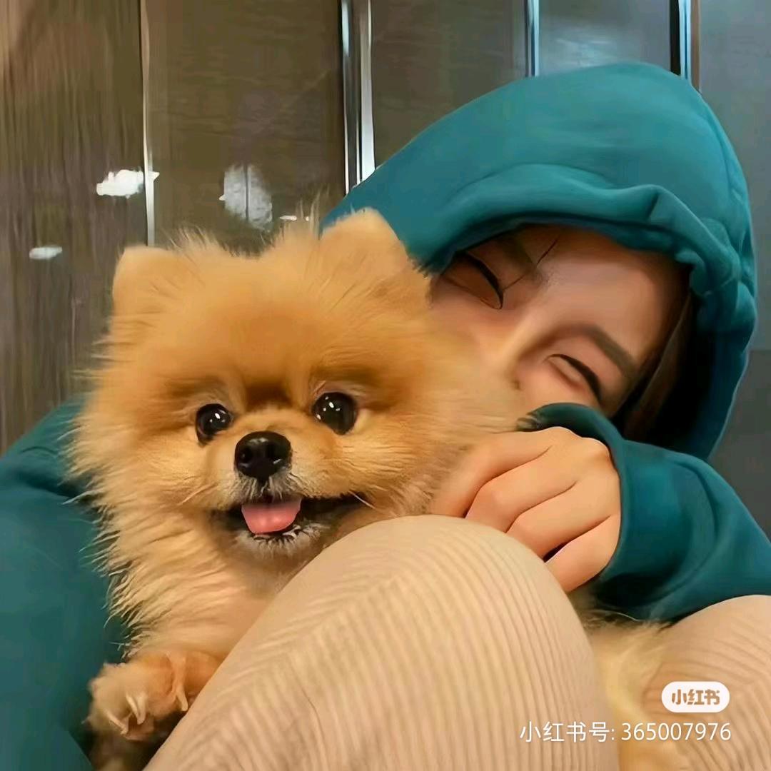 赞秀★布姆⒏⒓