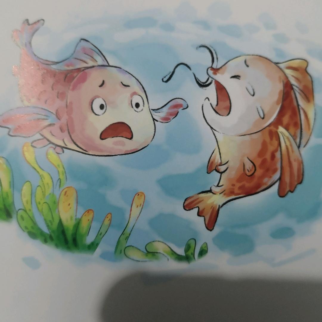 舒辛传媒工作室