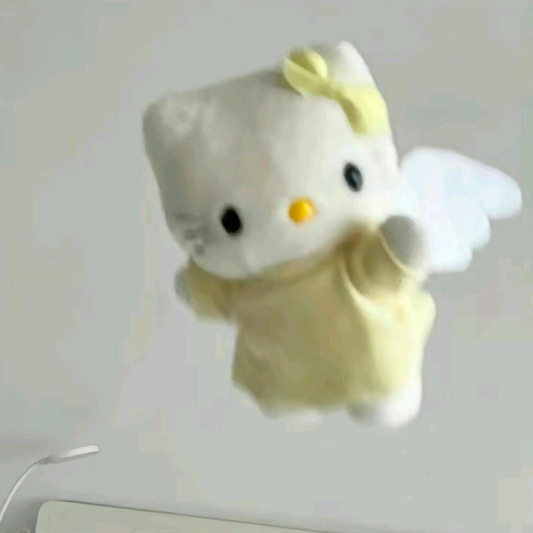鱼仔小芯.