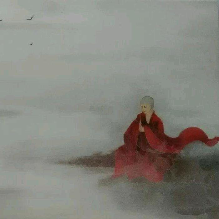 释泽
