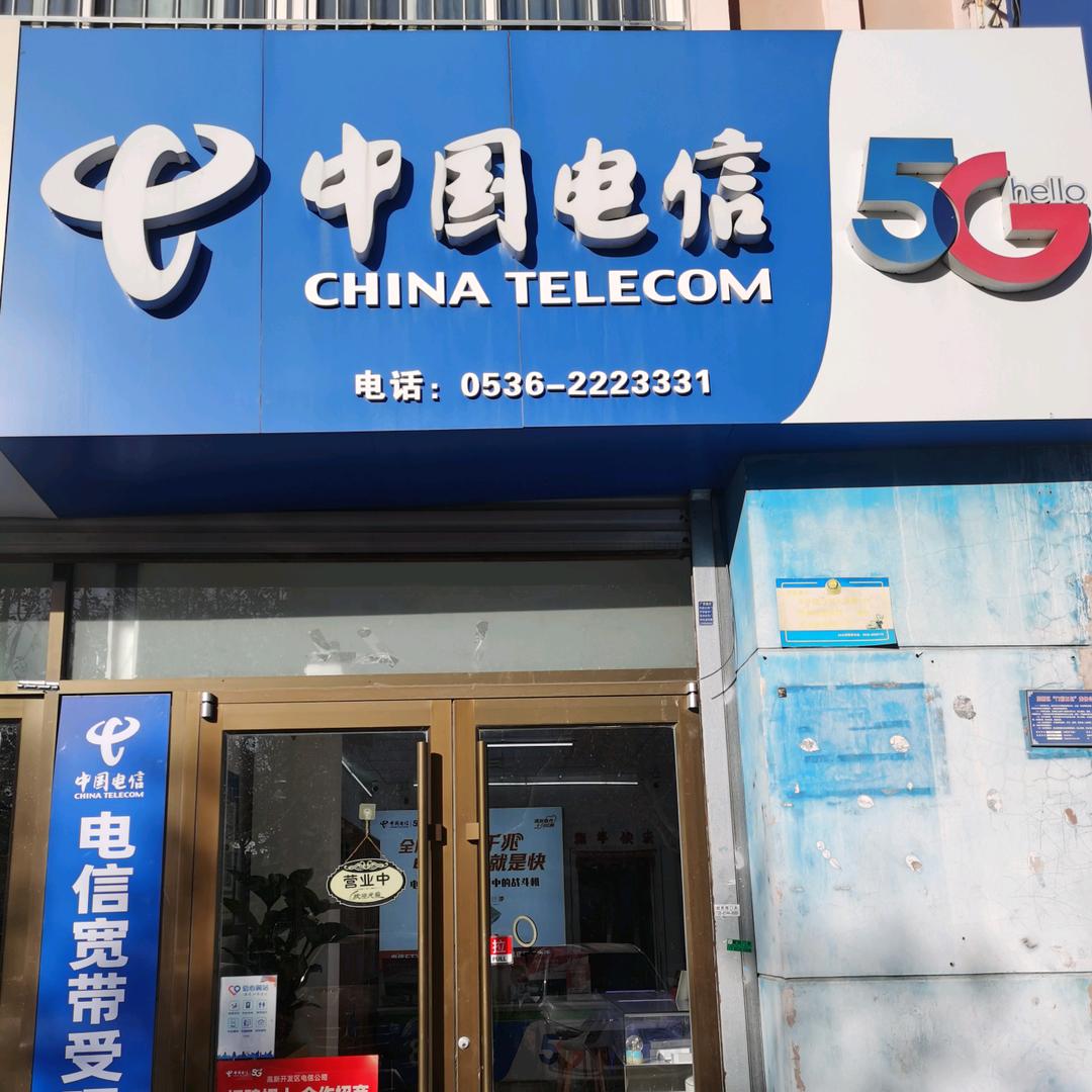 中国电信(桐荫街营业厅)