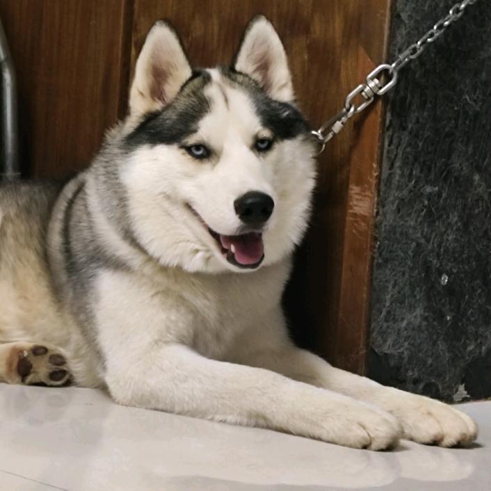 暮春三月待君归