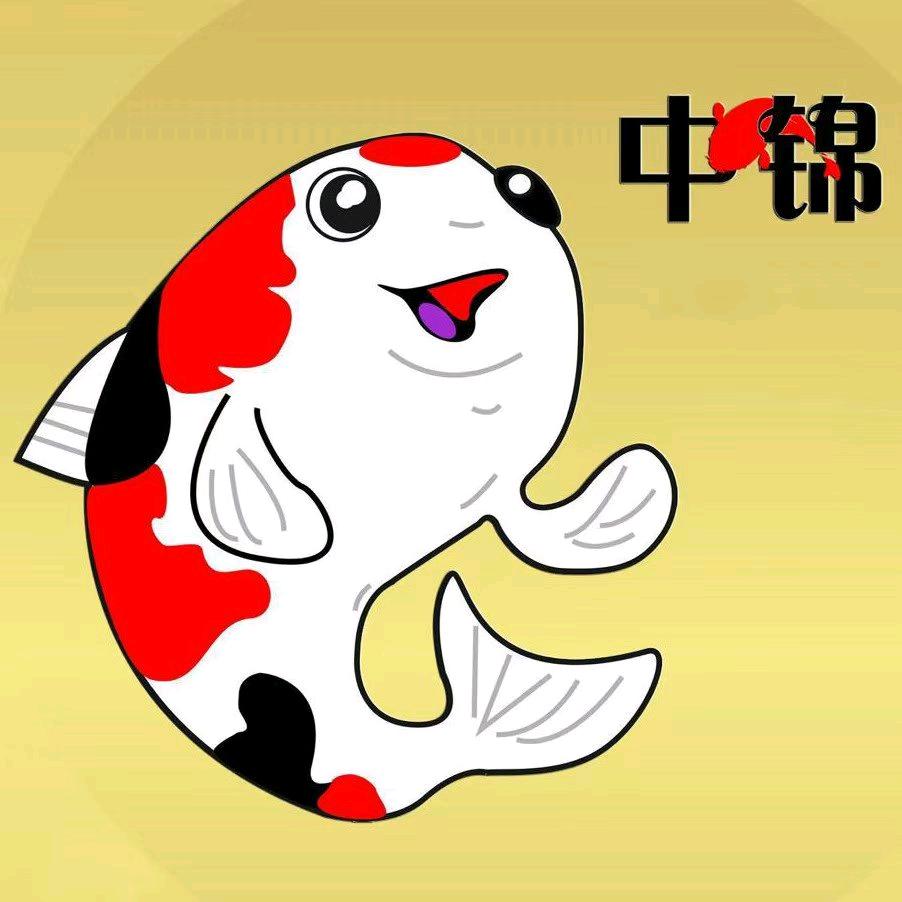 中锦水族百货