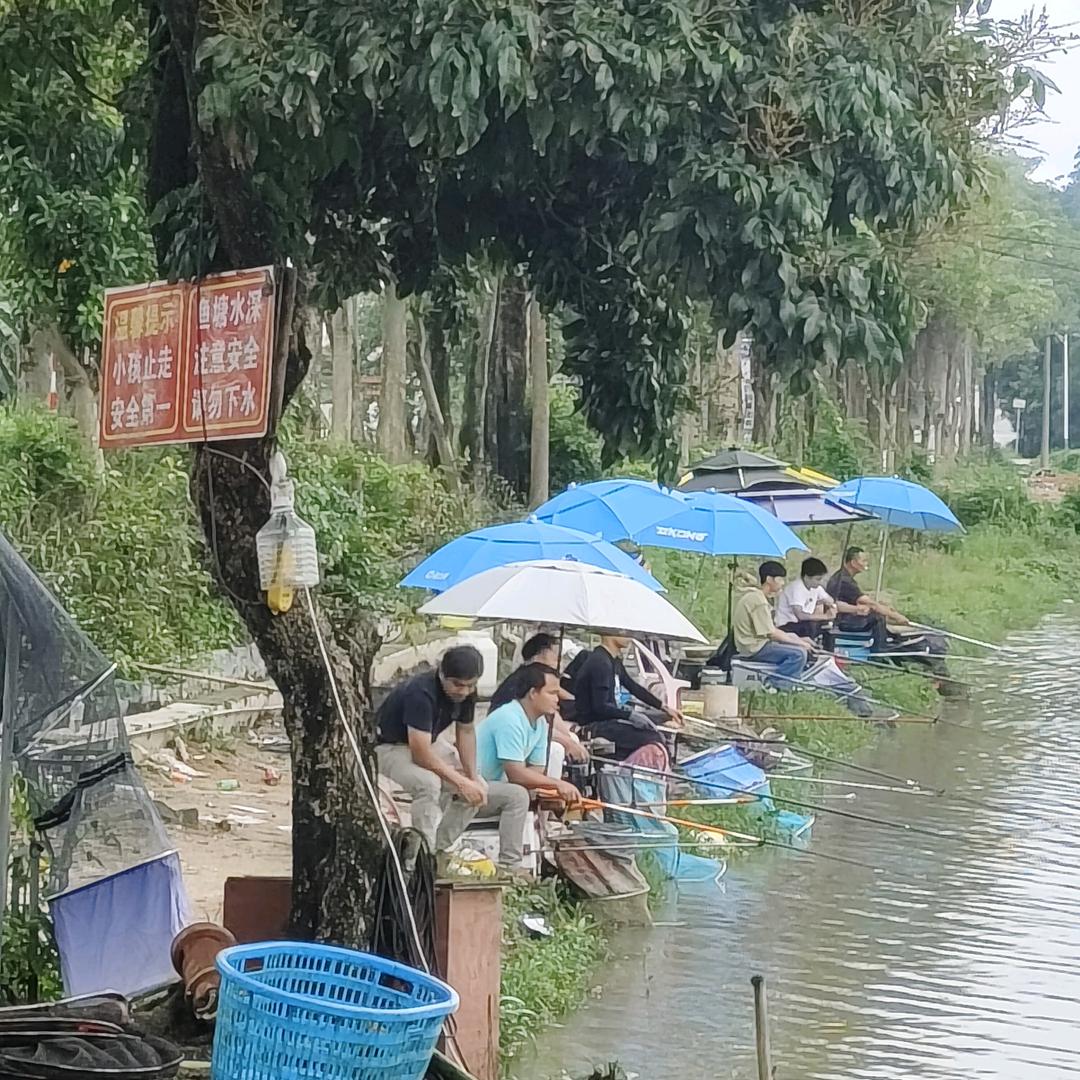 仙洞桥头钓鱼场✨