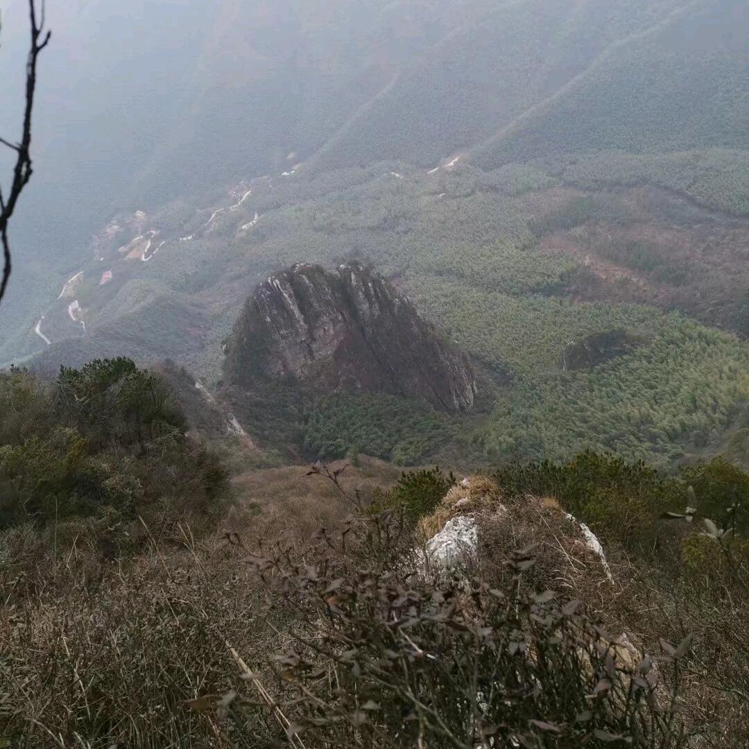 随心～而行