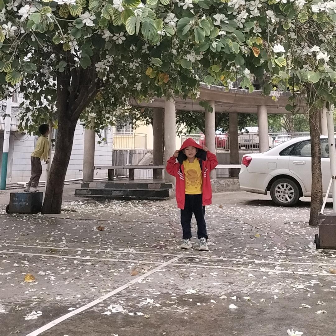 小鱼跟某鱼