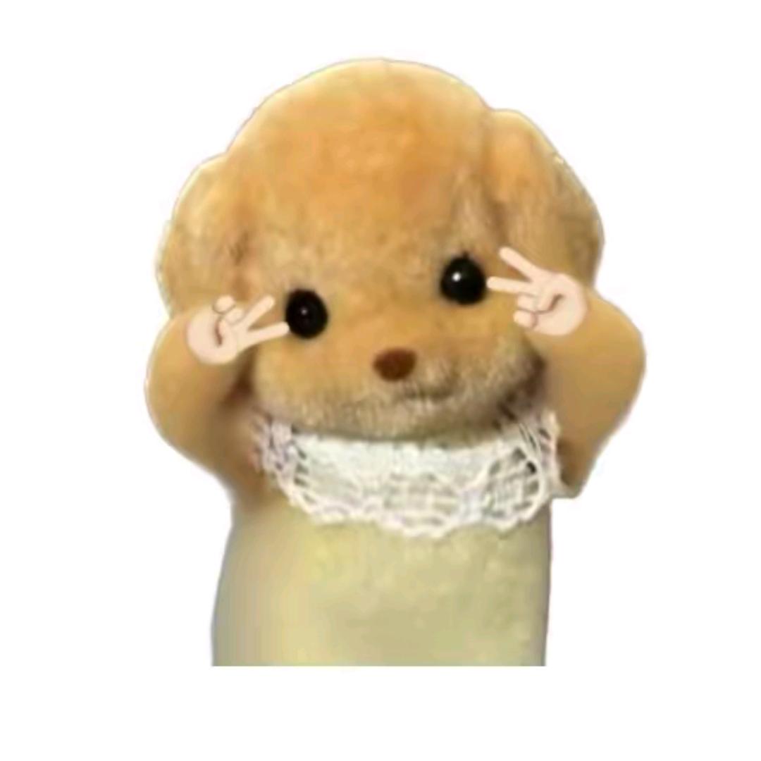 哈吉闪闪