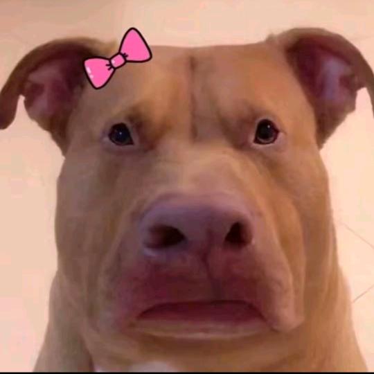 少爷