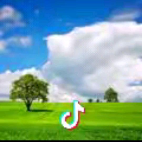 《廉价的过客》