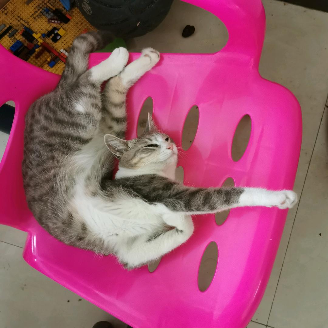 zzzaaa