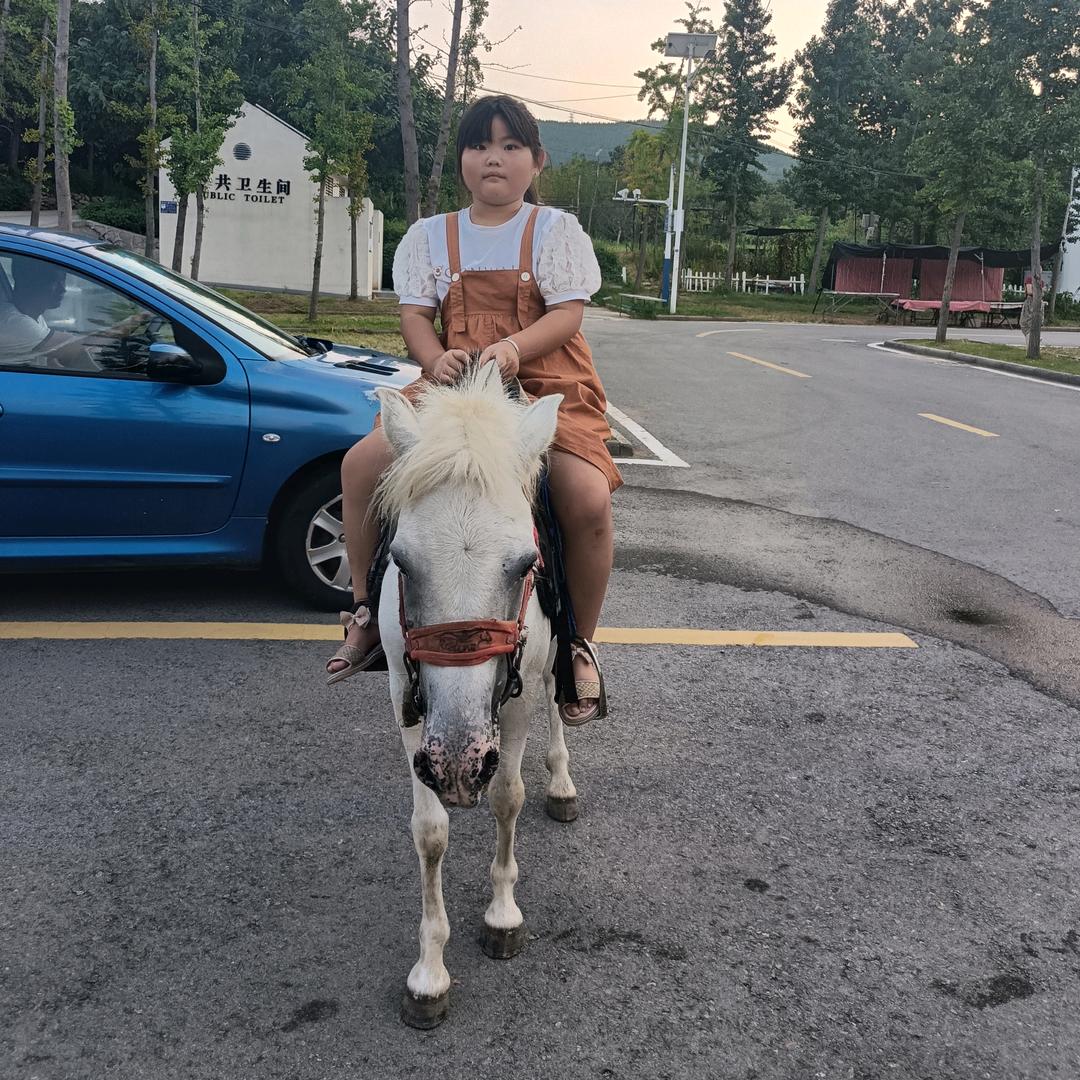 如如