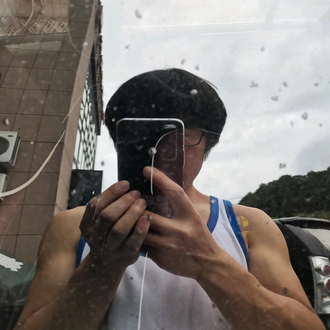 爱绣球的小汪大人